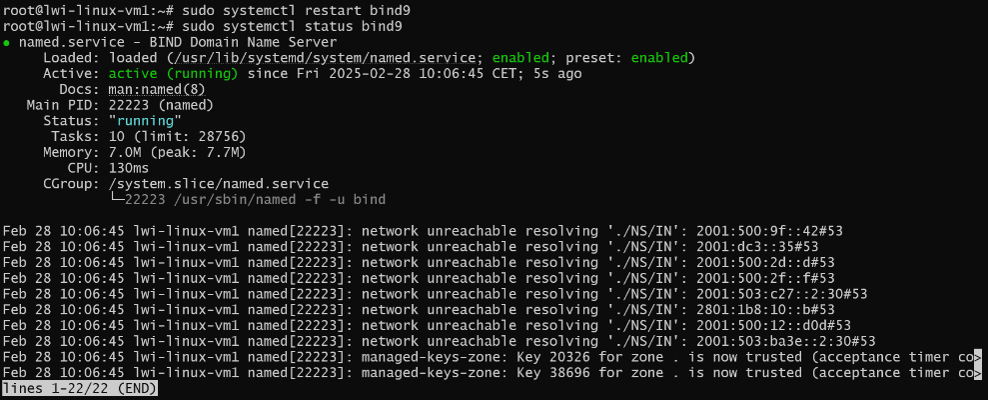 DNS Status testen